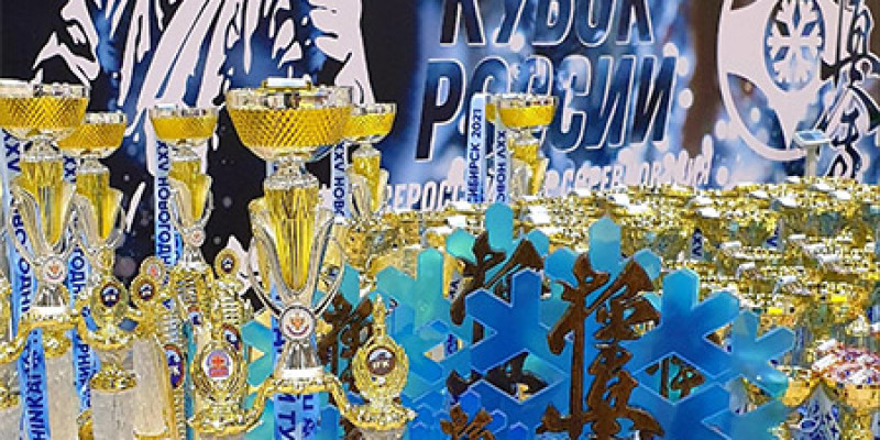 Всероссийские соревнования и Кубок России по кекусинкай 2021 г.